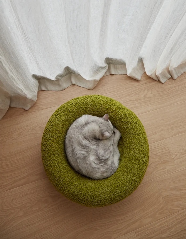 Cat St. - The Bungalow Bed