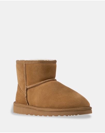 Camel