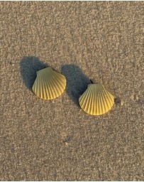 Zoe Olivia - Waterproof Textured Shell Stud Earrings