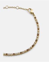 Daniel Wellington - Classic Tennis Bracelet Honey Combo