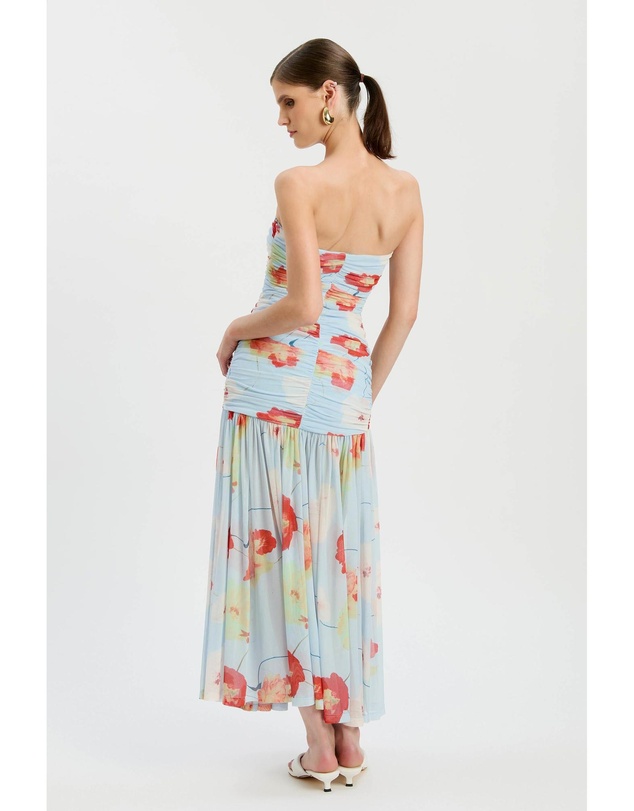 Bardot - Solana Printed Mesh Maxi Dress