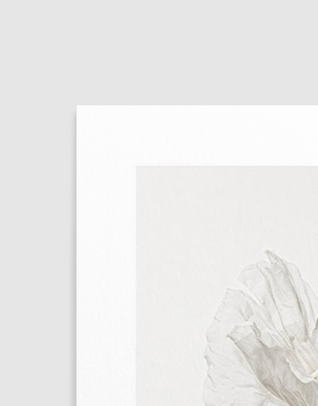 Olive et Oriel - White Poppy II Art Print