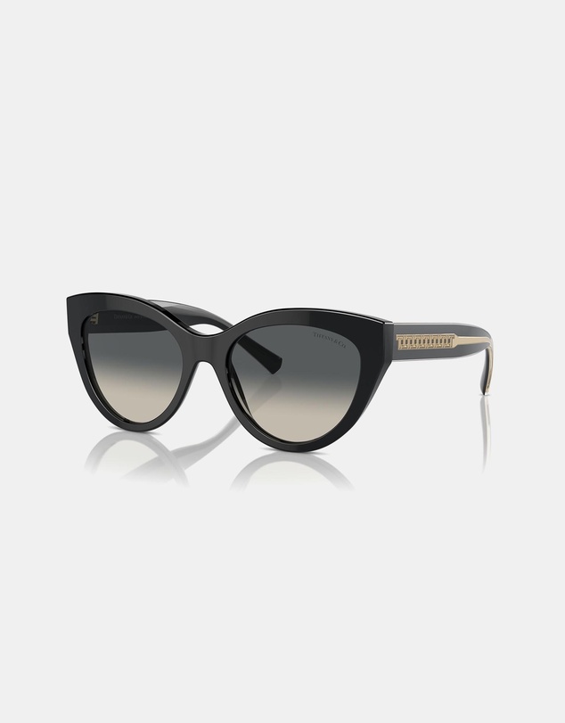 Tiffany & Co. - 0TF4220