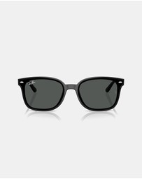Ray-Ban - RB4461D