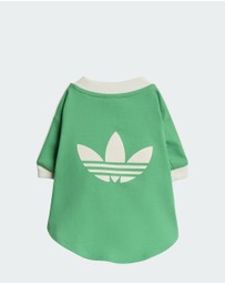 adidas Originals - adidas Pet Cali Tee