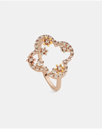 ALDO - Evellyn Ring