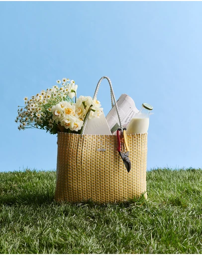 Hommey - Picnic Bag