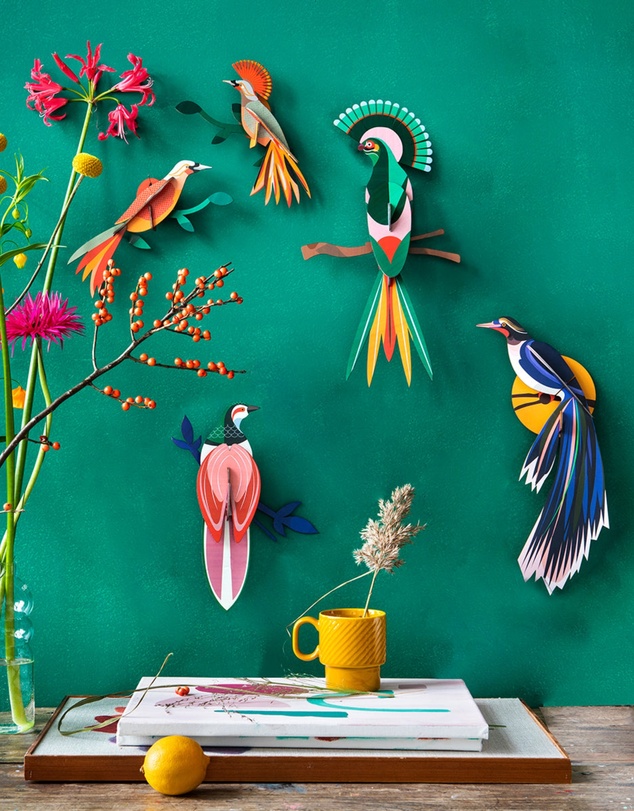 Studio Roof  - Wall Art Paradise Birds (B5) Obi
