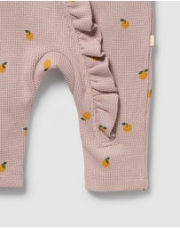 Wilson & Frenchy - Organic Waffle Ruffle Zipsuit - Babies