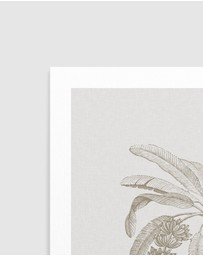 Olive et Oriel - Vintage Palm I Art Print
