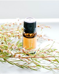 ECO. Modern Essentials - ECO. Frankincense Pure Essential Oil