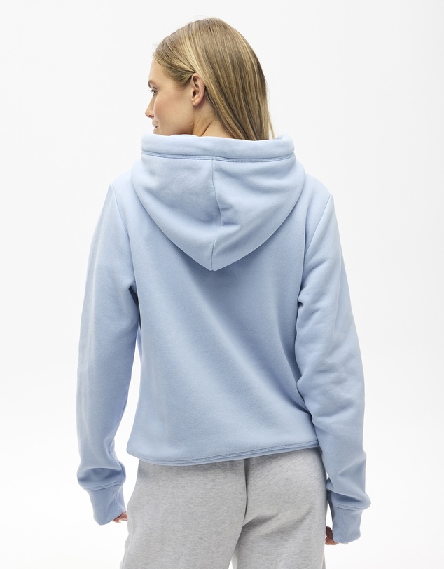 Superdry - Essential Hoodie