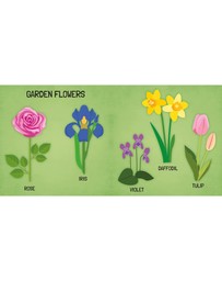 Sassi - Learn all about The Flowers 3D Puzzle and Book Set 40 Pieces