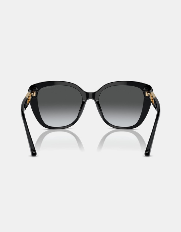 Emporio Armani - 0EA4214U