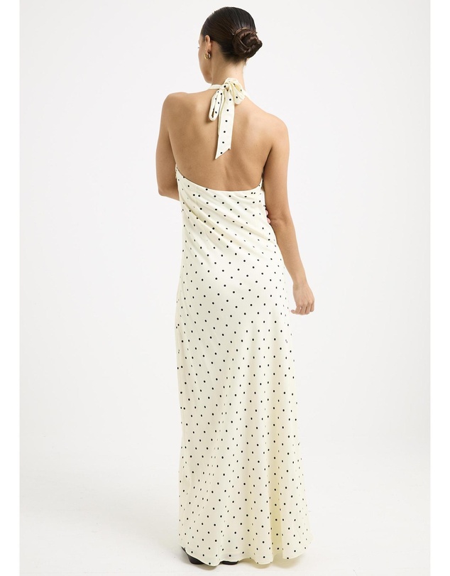 Alice In The Eve - Hannah Halter Maxi Dress