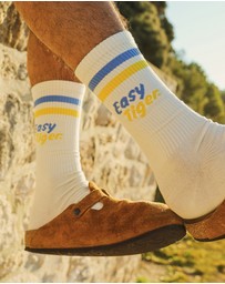 Skwosh - Easy Tiger Socks in Multi Stripe