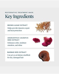 Virtue Labs - Restorative Treatment Mask 150ml