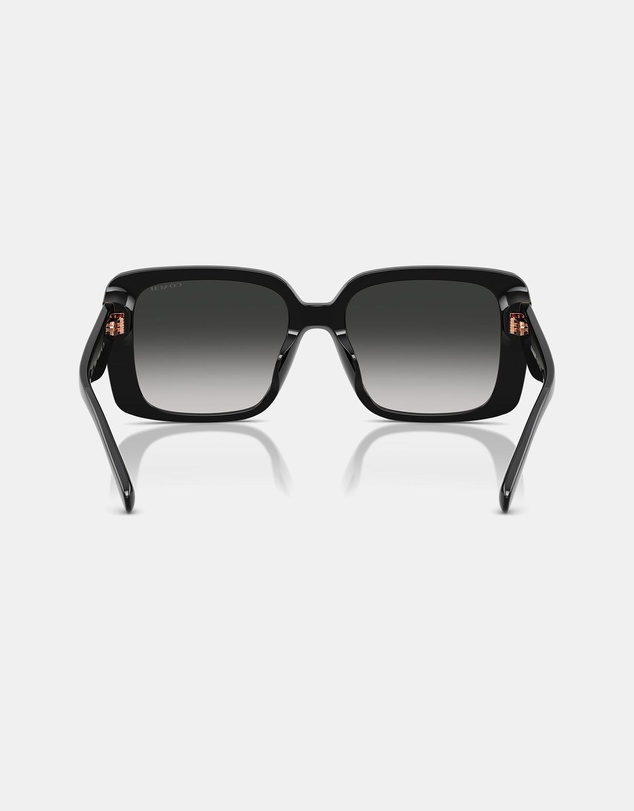Coach - CAD54