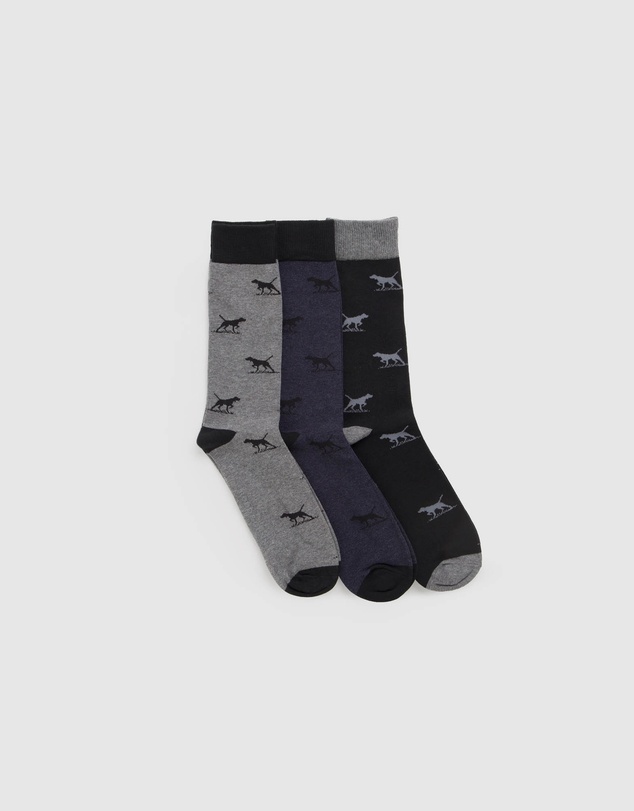 Rodd & Gunn - Dogs-A-Plenty Three Pack Socks