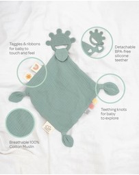 Playground - Silicone Comfort Teether - Sage