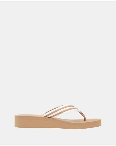 Safari Canvas