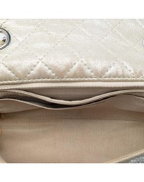 Pre-Loved by Azura Reborn - Pre-Loved Mini Rectangular Iridescent Calfskin Strass Embellished Single Flap