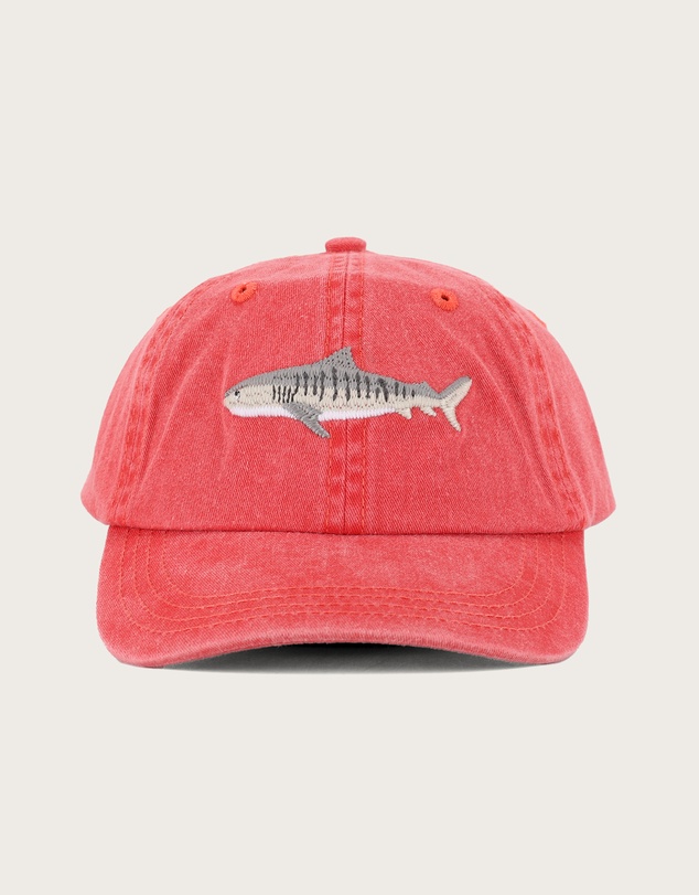 Pallion Point - Kids Tiger Shark Fish Lid