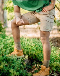 Pussyfoot - 5 Pack Bamboo Merino Boot Crew Socks Pack