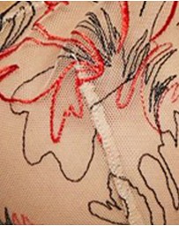 Sans Complexe - Alberta Sheer Embroidery Half Cup Wired Bra
