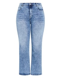 City Chic - Plus size Harley Fit Ivy Straight Leg Regular Jean - mid wash