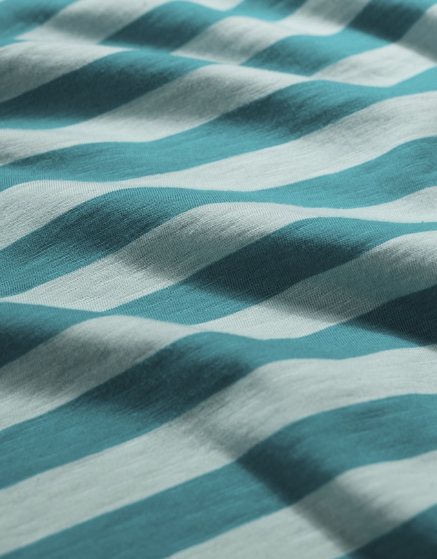 Seasalt - Seasalt Cornwall Blue Copseland T-Shirt Stripe