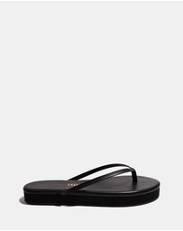 Tkees - Lily Platform
