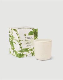 CIRCA - White Tea & Wild Mint Soy Candle