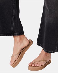 Tkees - Lily Platform