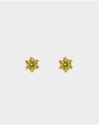 Sunday Stephens - Tell Me About It' Studs Green