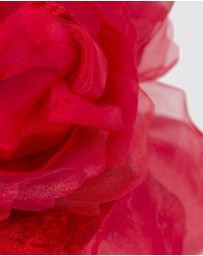 Fillies Collection - Large Flower Fascinator Headband
