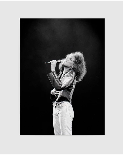 Olive et Oriel - Whitney Houston Art Print