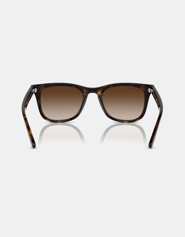 Ray-Ban - 0RB4420