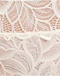 Billet Doux - Divine Sheer Lace Hipster Brief