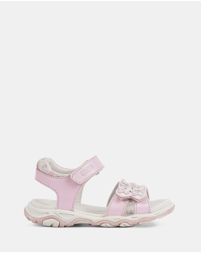 Pink Multi