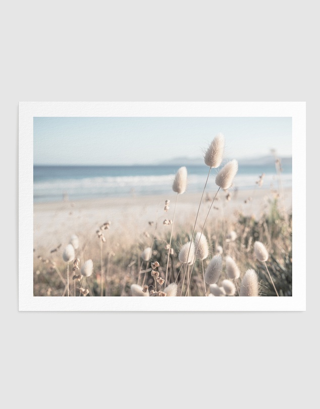 Olive et Oriel - Seaside Grass Art Print
