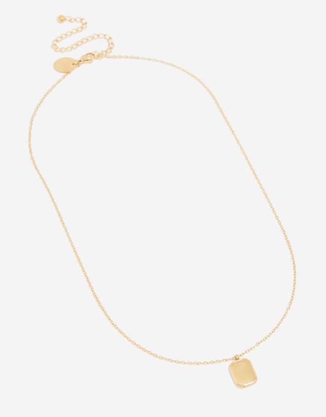 Lovisa - Waterproof Gold Plated Stainless Steel February Birth Flower Violet Necklace