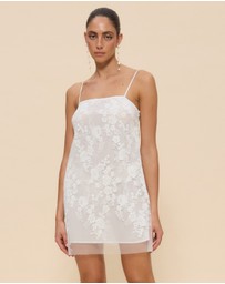CHANCERY - Sierra Sheer Lace Mini Dress