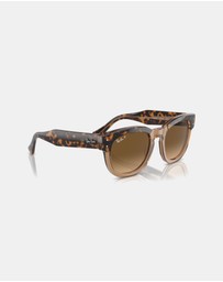 Ray-Ban - Mega Hawkeye