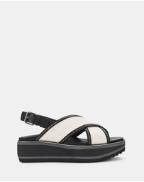Hush Puppies - Daint