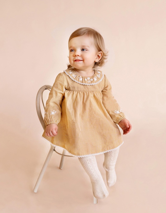 Bebe by Minihaha - Winnie Embroidered Gingham Overlay Dress - Babies