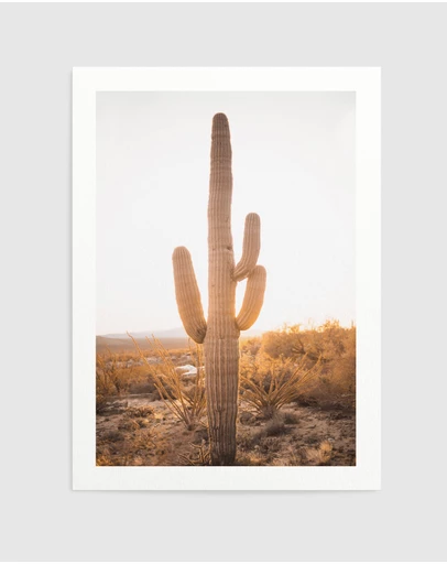 Olive et Oriel - Sunset Cactus Art Print