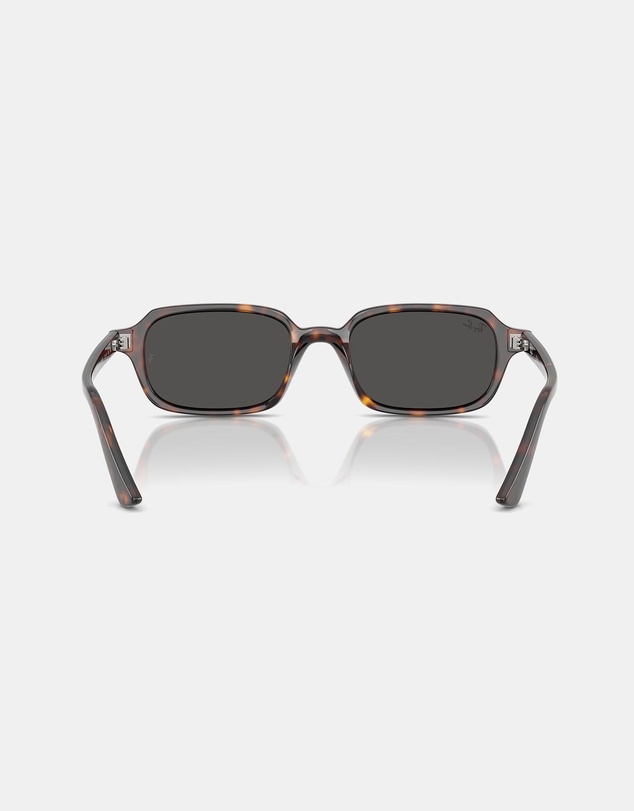 Ray-Ban - RB4455
