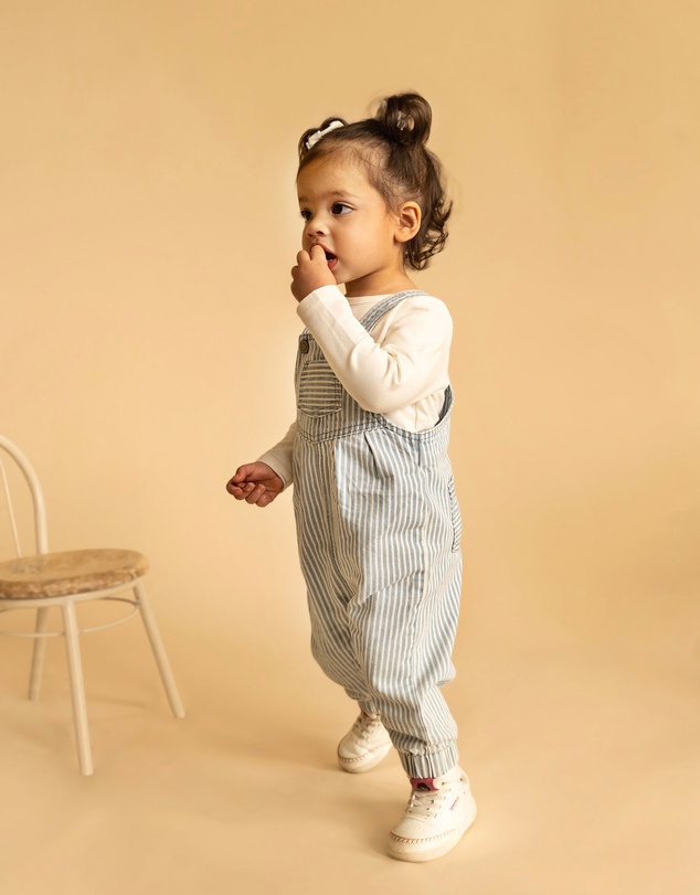 Fox & Finch - Winter Vacay Stripe Denim Overalls