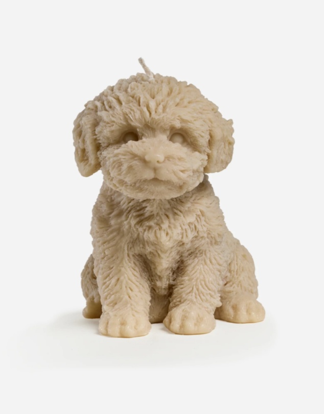 Love Ally - Cavoodle Candle